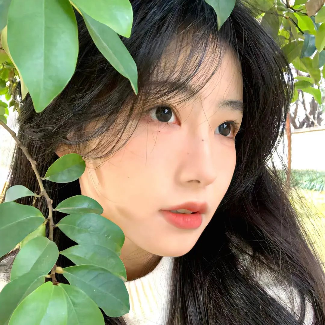 雾柳镇